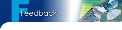 Feedback